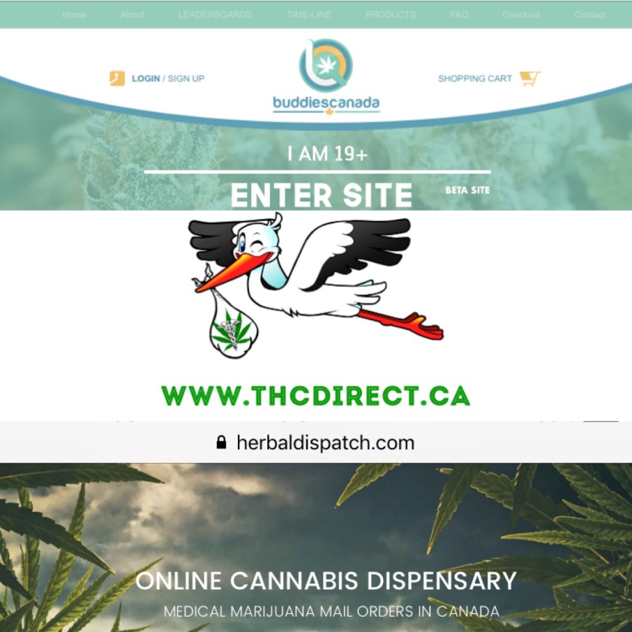 44191A2A-E19B-4AB2-B4C6-45EF7C0847D4